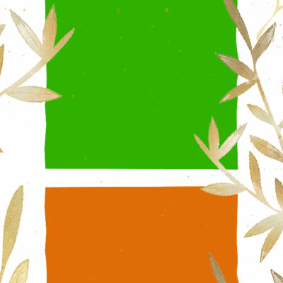 Image pour le nombre de choix 24
